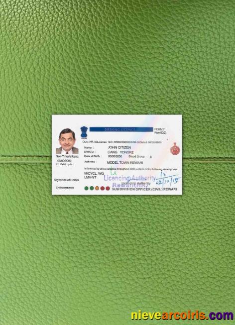 India driving license version 5  photolook